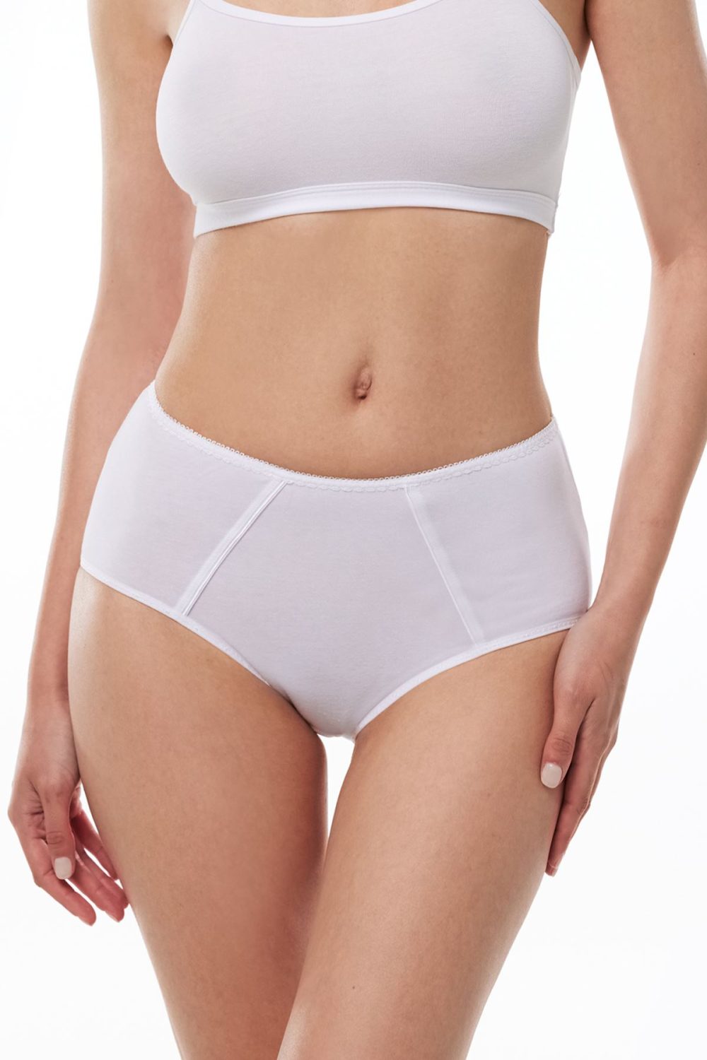 DFN Kadın 6 Lı Paket Pamuk Elastan Sabrina Yüksek Bel Slip Külot 114 - Görsel 9