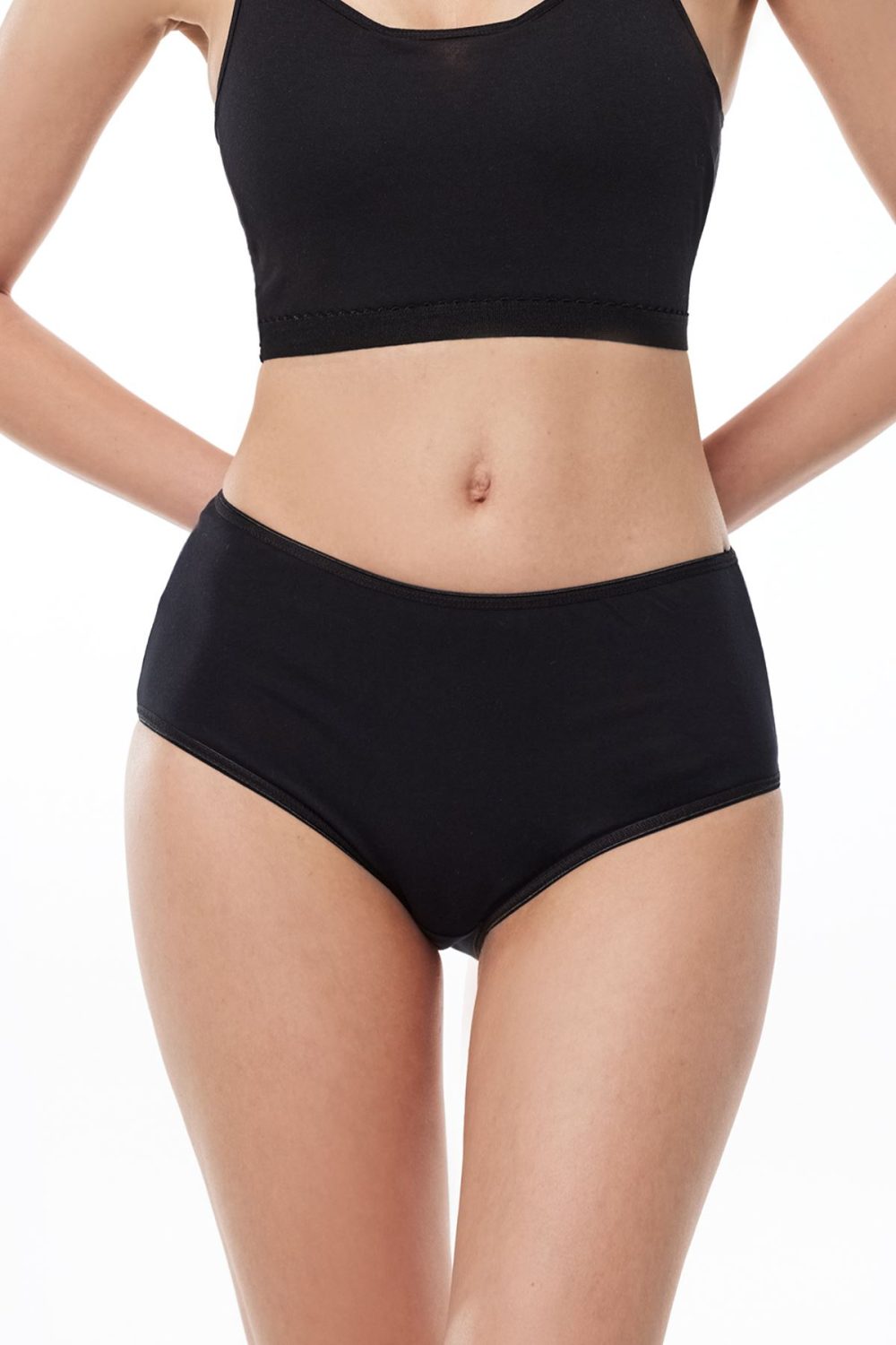 DFN Kadın 6 Lı Paket Pamuk Elastan Yüksek Bel Slip Külot - Görsel 2