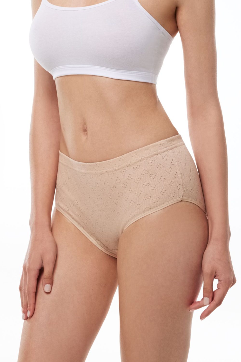 DFN Kadın 6 Lı Paket %100 Pamuk Yüksek Bel Jakarlı Slip Külot - Görsel 9