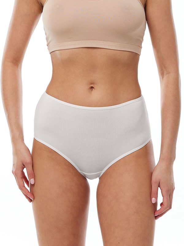 DFN Kadın Ekru 2 li Paket Modal Yüksek Bel Bato Slip Külot 1030