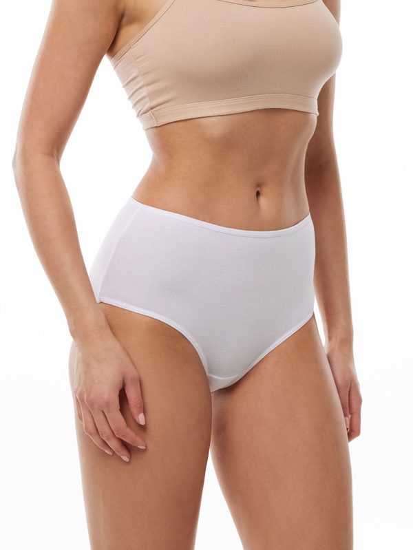 DFN Kadın Beyaz 2 li Paket Modal Yüksek Bel Bato Slip Külot 1030