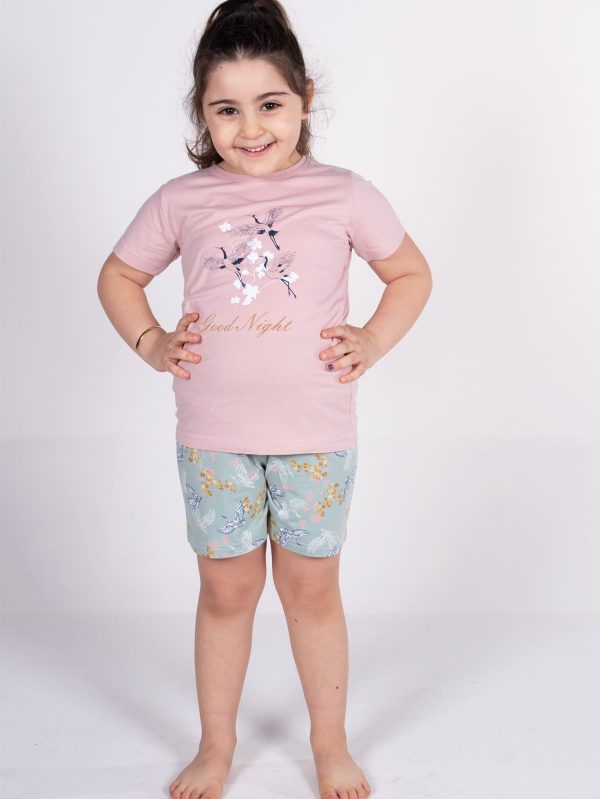 DFN Kız Çocuk Pudra Kısa Kollu Yazlık Pijama Baskılı Şortlu Takım 4004