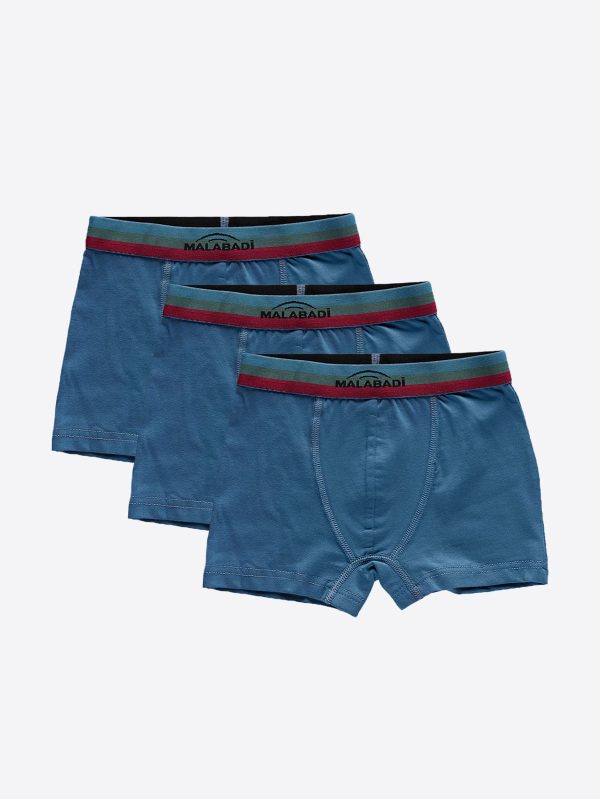 DFN Erkek Çocuk Mavi 3 Lü Pamuk Elastan Boxer 3M208