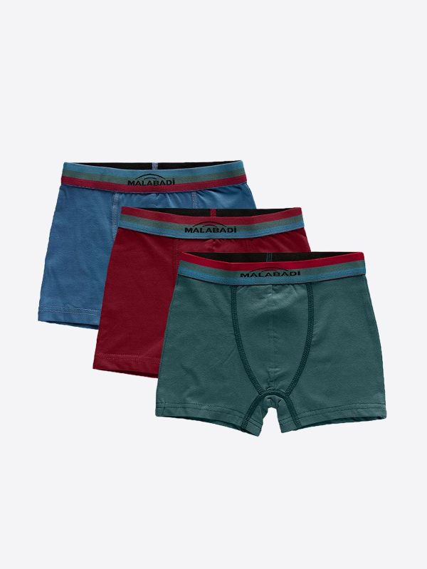 DFN Erkek Çocuk Mavi Bordo Yeşil 3 Lü Pamuk Elastan Boxer 3M208