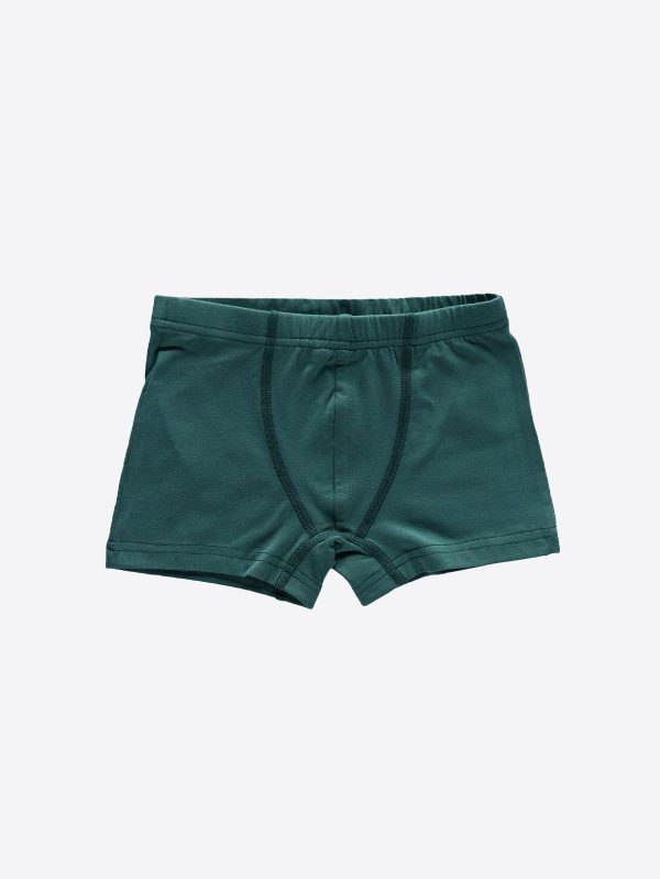 DFN Erkek Çocuk Yeşil Pamuk Elastan Boxer 209