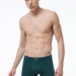 DFN Erkek Yeşil Pamuk Elastan Boxer 074