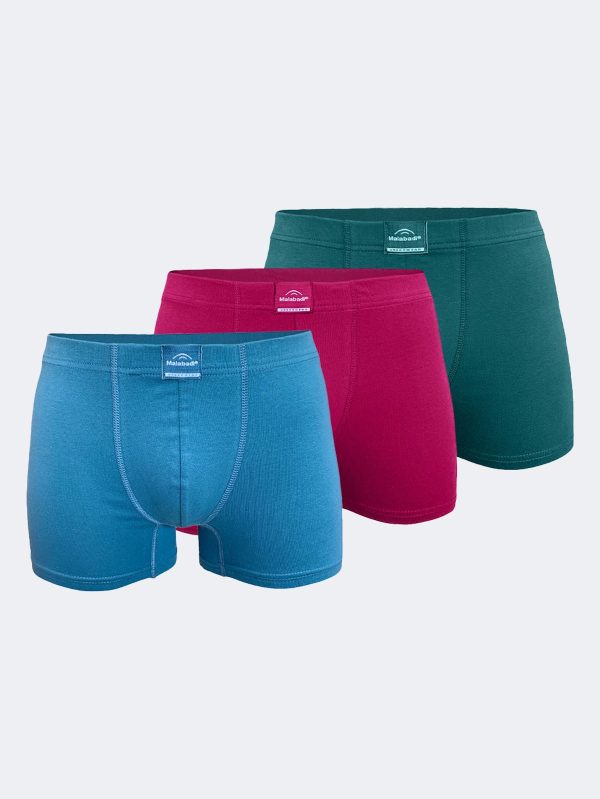 DFN Erkek Yeşil Bordo Mavi 3 Lü Pamuk Elastan Boxer 3M074