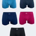 DFN Erkek Karışık Renk 5 Li Pamuk Elastan Boxer 5M074