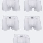 DFN Erkek Beyaz 5 Li Pamuk Elastan Boxer 5M074