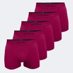 DFN Erkek Bordo 5 Li Pamuk Elastan Boxer 5M075