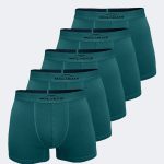 DFN Erkek Yeşil 5 Li Pamuk Elastan Boxer 5M075