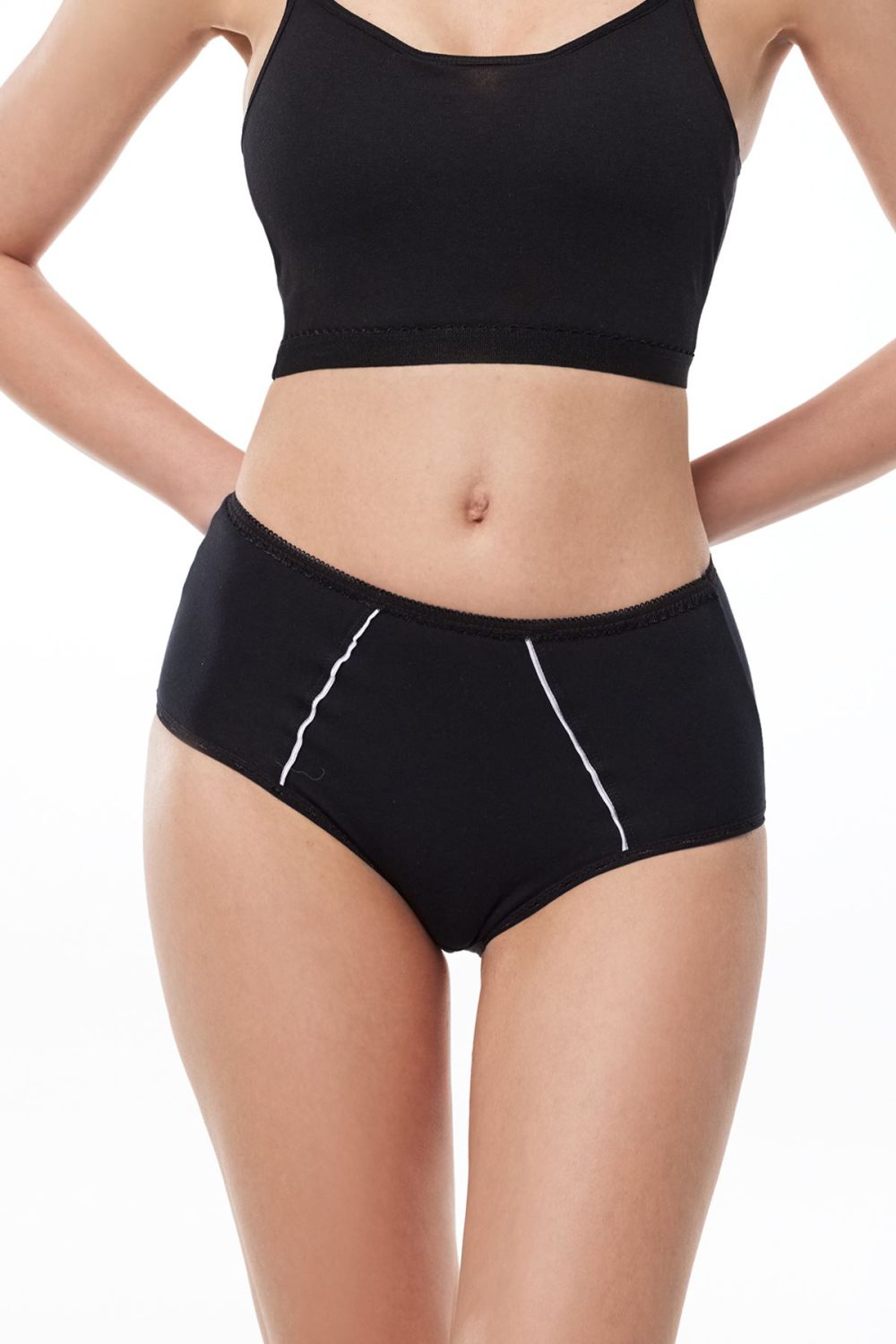 DFN Kadın Siyah 6 Lı Paket Pamuk Elastan Sabrina Yüksek Bel Slip Külot 114