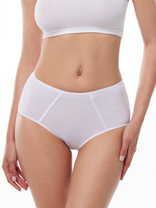 DFN Kadın Beyaz 6 lı Paket Pamuk Elastan Sabrina Yüksek Bel Slip Külot 114