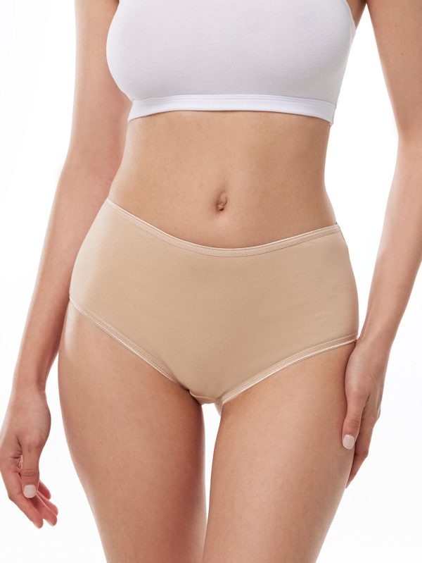 DFN Kadın Ten 6 Lı Paket Pamuk Elastan Yüksek Bel Slip Külot 125