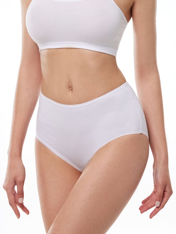 DFN Kadın Beyaz 6 Lı Paket Pamuk Elastan Yüksek Bel Slip Külot 125