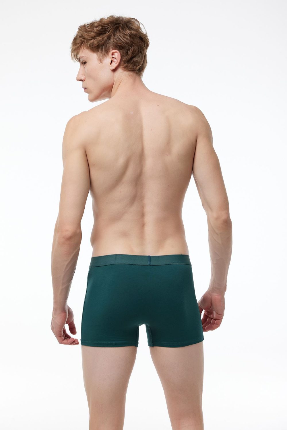 DFN Erkek Yeşil 3 Lü Pamuk Elastan Boxer 3M075 - Görsel 4