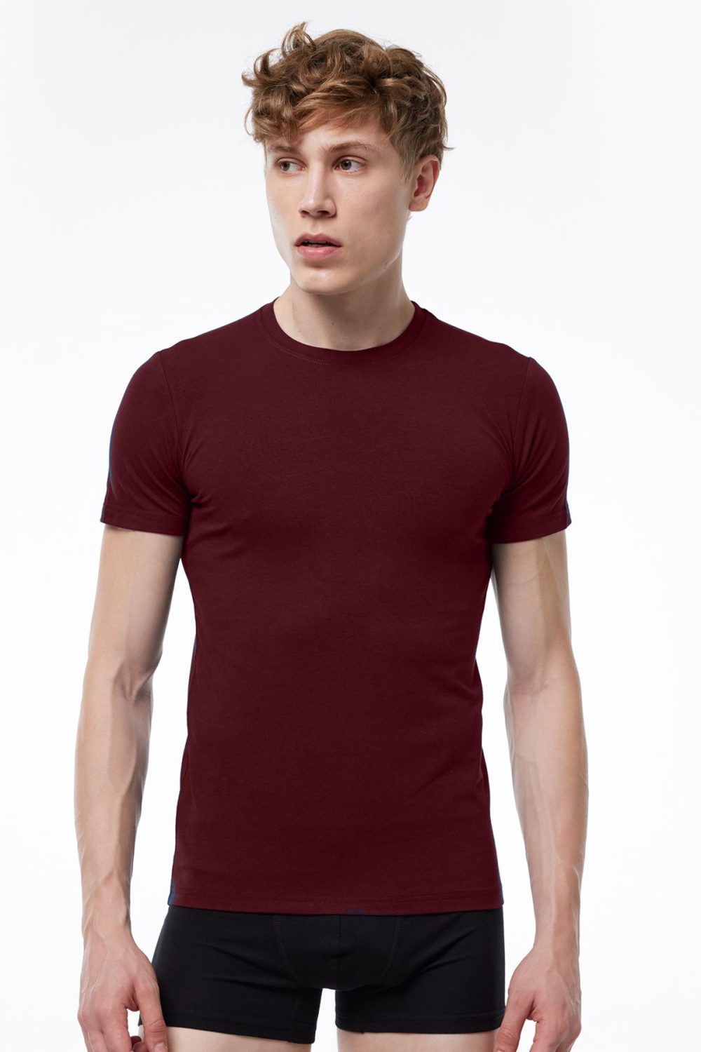 DFN Erkek Bordo Yuvarlak Yaka Kısa Kollu Modal T-shirt Body 030 - Görsel 2