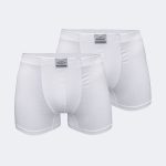 DFN Erkek Beyaz 2 li Pamuk Elastan Boxer 074