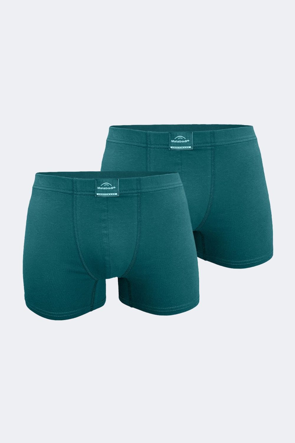 DFN Erkek Yeşil 2 li Pamuk Elastan Boxer 074