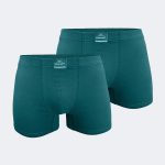 DFN Erkek Yeşil 2 li Pamuk Elastan Boxer 074