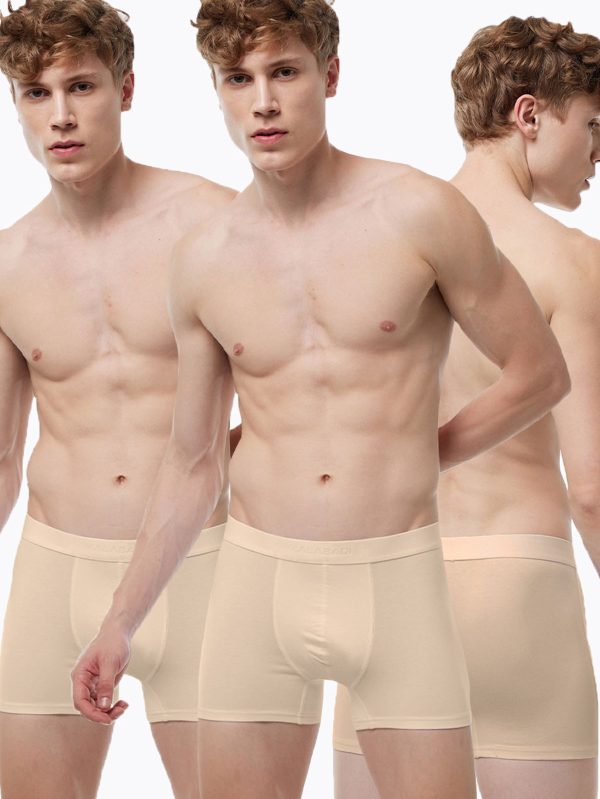 DFN Erkek Ten Rengi 3 Lü Pamuk Elastan Boxer 3M075