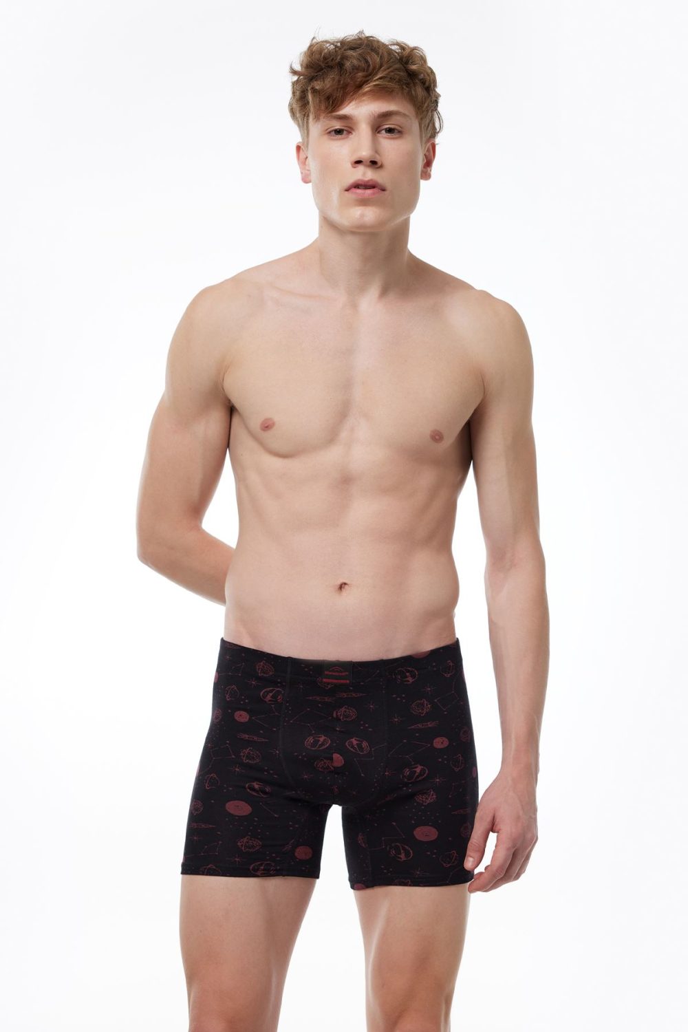 DFN Erkek Desenli 4 lü Premium Collection Modal Uzun Boxer 4M250 - Görsel 3