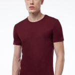 DFN Erkek Bordo Yuvarlak Yaka Modal İnce Yaz Serinliği Tişört 084